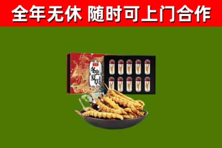 岳阳楼回收冬虫夏草价格